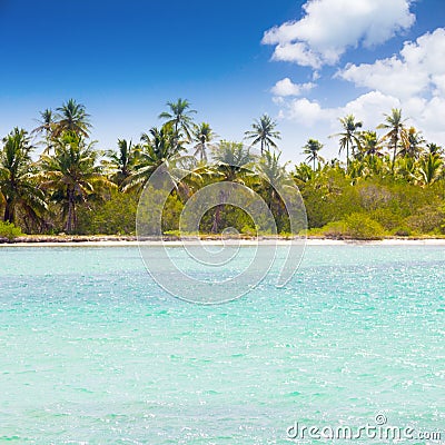 Caribbean wild beach Stock Photo