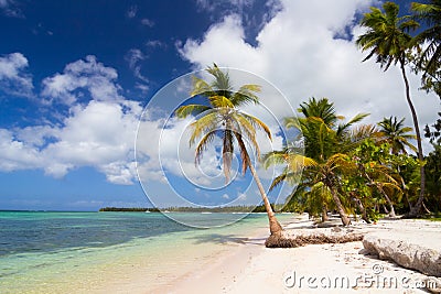 Caribbean wild beach Stock Photo