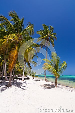 Caribbean wild nature scenery Stock Photo