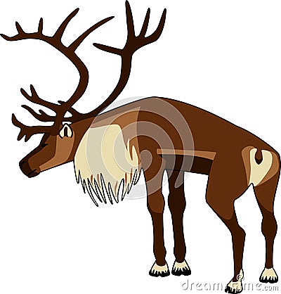 Caribou Bull Vector Illustration