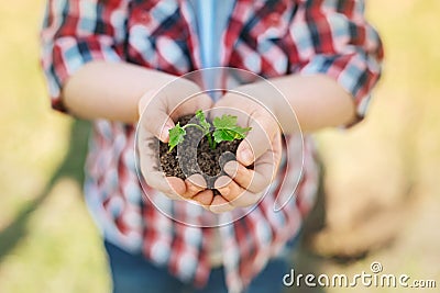 Close up of a handful of soil Stock Photo