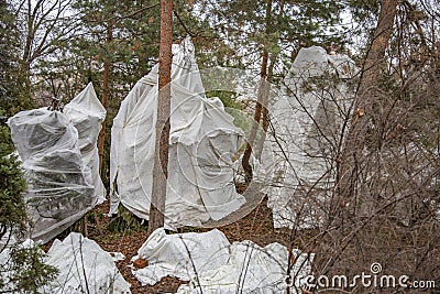 Caring for trees in a nature reserve Stock Photo