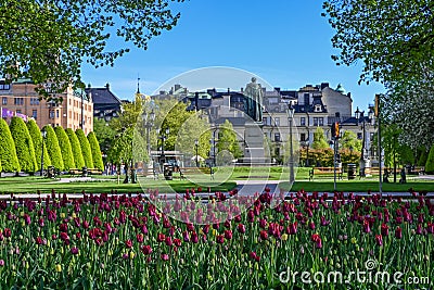 Carl Johans Park in Norrkoping during spring in Sweden Editorial Stock Photo