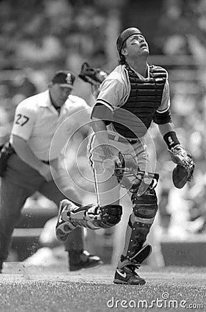 Carlton Fisk, Chicago White Sox catcher Editorial Stock Photo