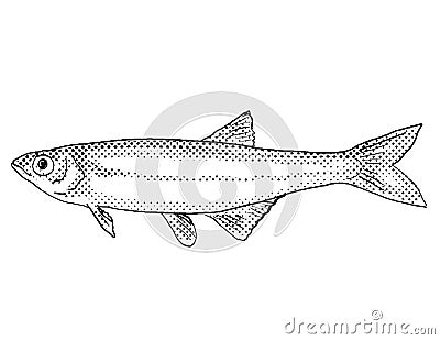 Carmine shiner or Notropis percobromus Freshwater Fish Cartoon Drawing Stock Photo