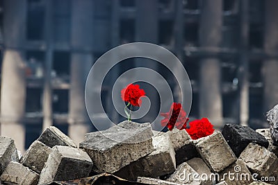 Carnations on a barricade in Kiev Editorial Stock Photo