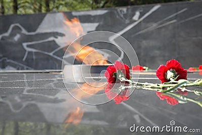 Carnations at eternal fire. Stock Photo