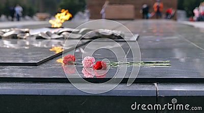 Carnations flowers on the monument of eternal fire - Victory Day Stock Photo