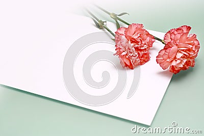 Carnations and a note Stock Photo