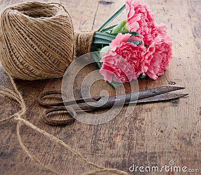 Carnations with old antique scissors Stock Photo