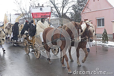 Carnival chariot with horses Editorial Stock Photo