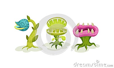 Carnivore Plants or Monster Flowers as Fantastic Flora Vector Set Vector Illustration