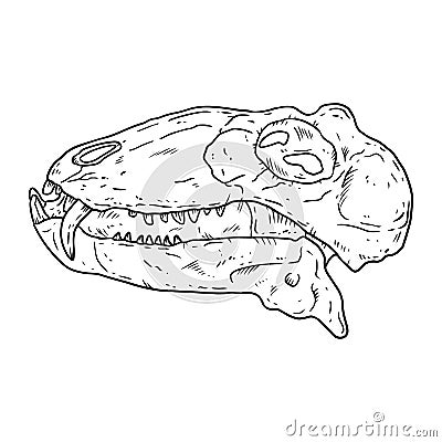 Carnivorous Dinocephalia fossilized skull hand drawn sketch image. Carnivore reptile dinosaur fossil illustration drawing. Vector Vector Illustration