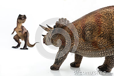 Tyrannosaurus rex fighting versus triceratops on white background Stock Photo