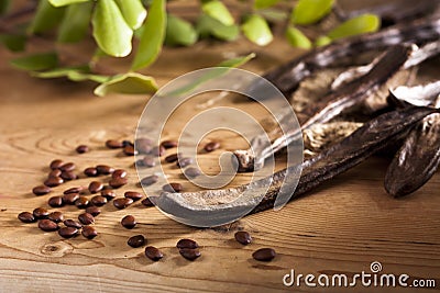 Carob Pods Stock Photo