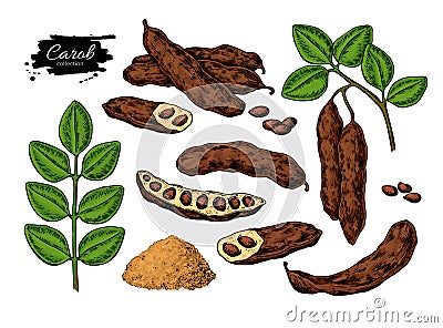 Carob vector superfood drawing set. Isolated hand drawn Vector Illustration