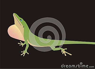 Carolina anole lizard Stock Photo