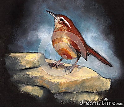 Carolina Wren, Bird Perched on Rocks, Oil Pastel Art Stock Photo