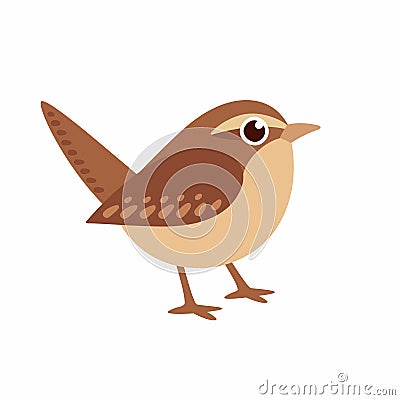 Carolina Wren illustration Vector Illustration