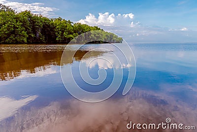 Caroni River mouth open sea through mangroves Stock Photo