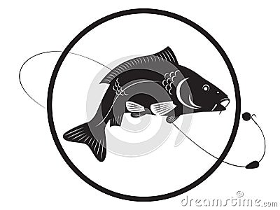 Carp Vector Illustration