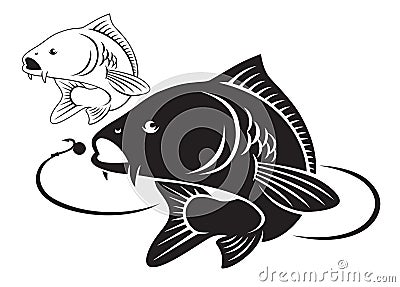 Carp fish Vector Illustration