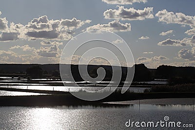 Carp lake in the evening in Frankonia Stock Photo