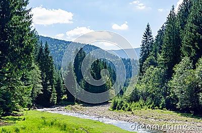 Carpathian landscape, a mountain river flows in the forest. Holidays in the mountains Stock Photo