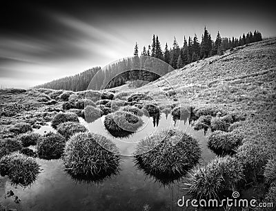 Carpathian morning. Monochrome picture Stock Photo