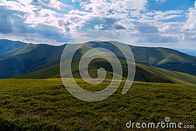 Carpathian polonium, illuminated by the sun`s rays Stock Photo