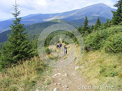 Getting up on Hoverla with friends Editorial Stock Photo