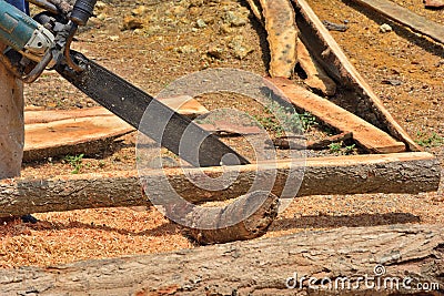 Carpenter cutting wood Stock Photo