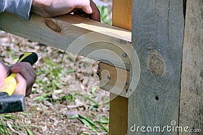 Carpenter hammers a nail with a hammer Stock Photo