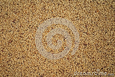 Carpet Stock Photo