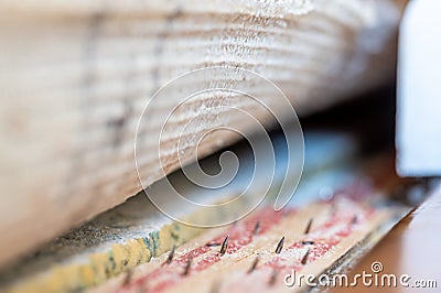 Carpet tack strip exposed during a flooring home improvement project Stock Photo