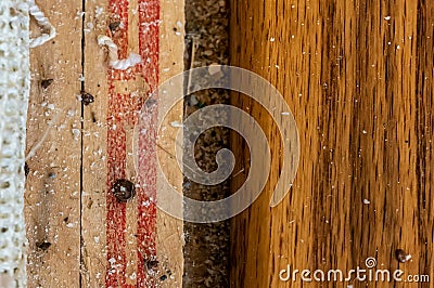 Carpet tack strip exposed during a flooring home improvement project Stock Photo