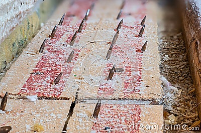 Carpet tack strip exposed during a flooring home improvement project Stock Photo