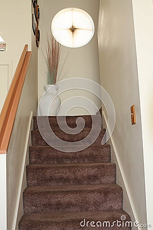 Carpeted stairs in home Stock Photo