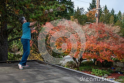 Carport rooftop view, fall color, woman pruning evergreen tree Stock Photo