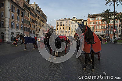 Carriage horse in Piazza di Spagna Editorial Stock Photo