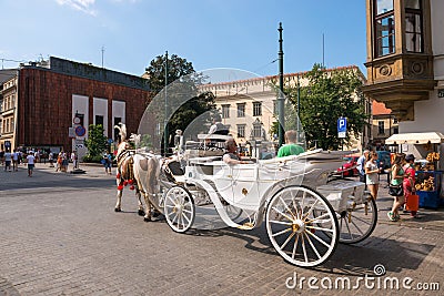 Carriage and horses in Krakow,Poland . Unidentified people. Editorial Stock Photo