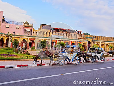 Carriage in Meknes, Morocco Editorial Stock Photo