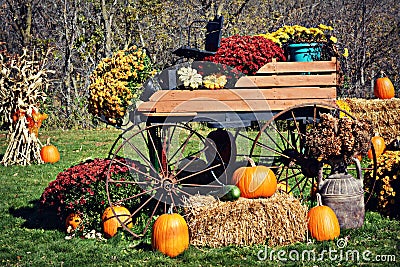 Carriage Pumpkin Display Stock Photo