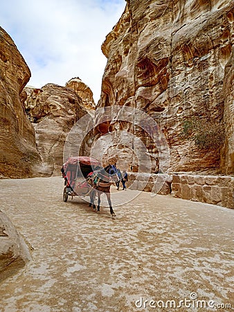 Carriage in the Siq gorge in Jordan Editorial Stock Photo