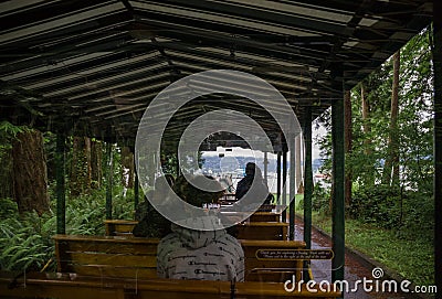 Carriage tour - two beautiful horses with a tram. vintage attraction. Inside horse-drawn carriage in Stanley Park, Vancouver, Editorial Stock Photo