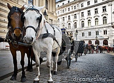 Carriage with two horses on Vienna street Stock Photo