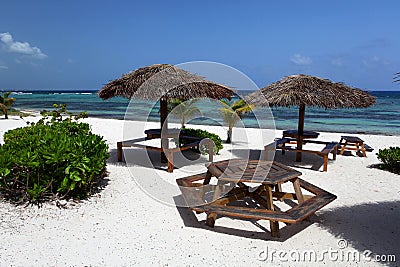 Carribean Palm tree with tables Stock Photo