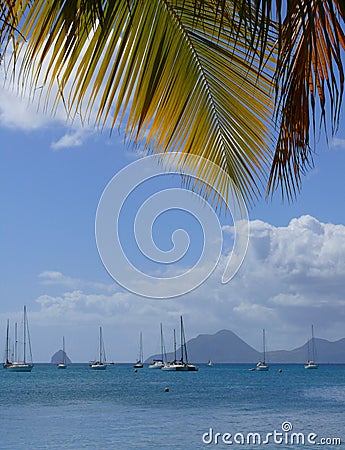 Carribean sea Stock Photo