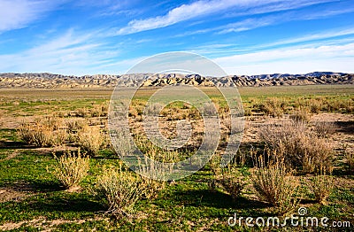 Carrizo Plain National Monument Stock Photo