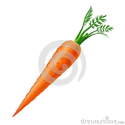 Carrot Cartoon Illustration